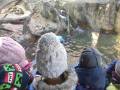 img_20250219_100417.jpg
