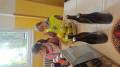 img_20241014_101650.jpg