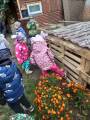 whatsapp_image_2025-01-06_at_09.27.50.jpeg