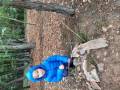 img_20240930_103649.jpg